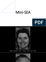 3B - PPTX - FER - Mini-SEA