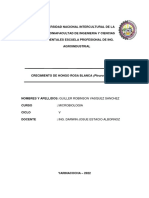 Informe Hongos Guiller Robinson Vasquez Sanchez