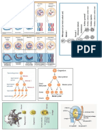 biologi bab 4 (Autosaved)