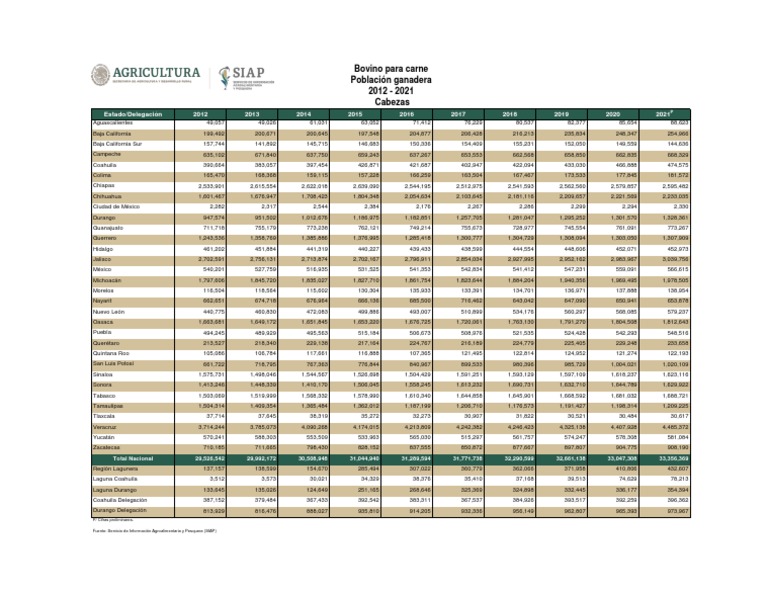Inventario 2021 Bovino para Carne | PDF
