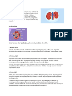 Materi Struktur Dan Funsi Ginjal