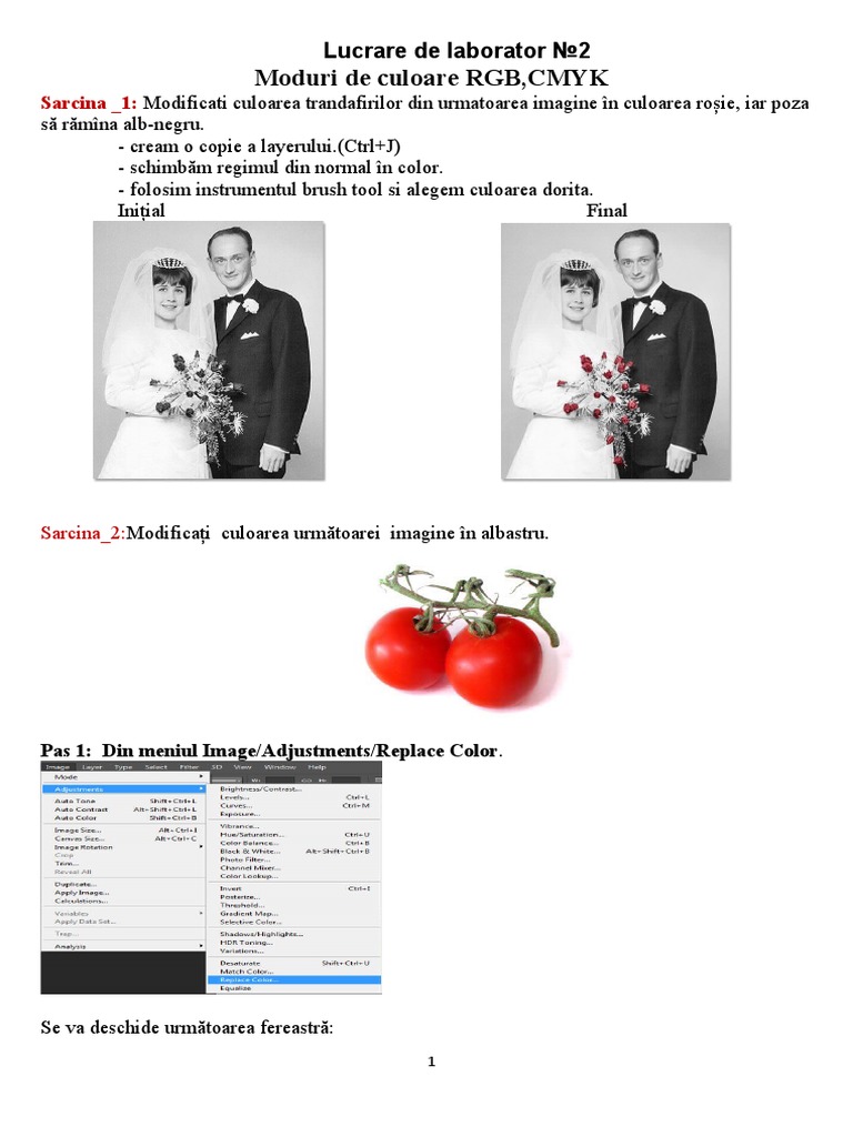 Sarcina Practica | PDF