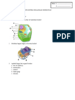 LKPD Sistem Organisasi Kehidupan