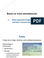 Basics of Food Microbiology: Fungal Taxonomy