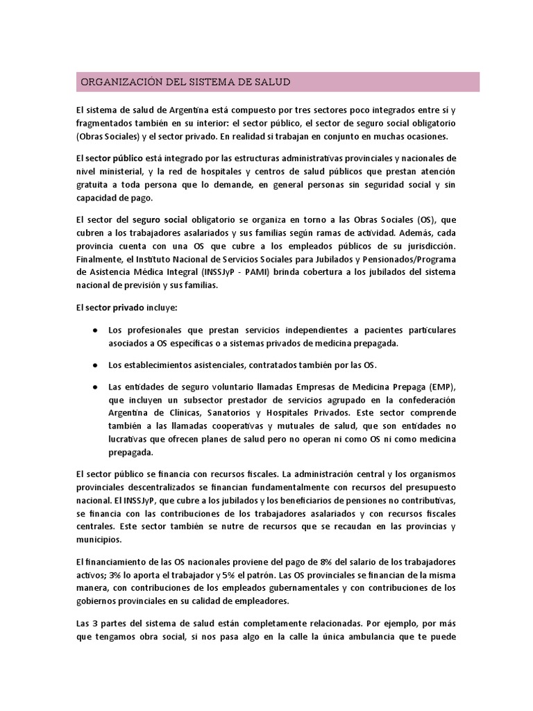 Estructura del Sistema de Salud en Argentina | PDF | Decibel | Sonido