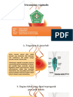 Mikro Tricomonas Vaginalis