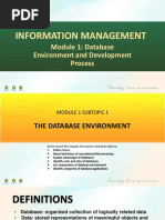 (M1-MAIN) - The Database Environment and Development Process