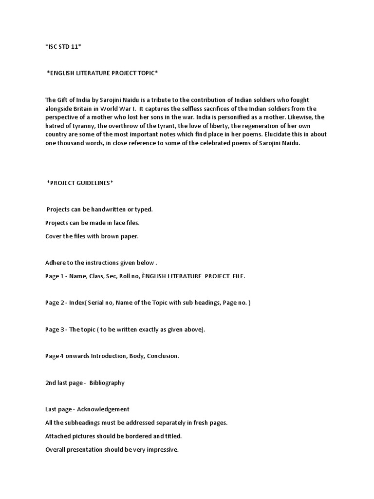 Project Guidelines | PDF