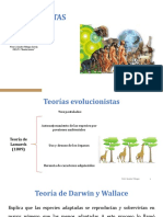 La Evolución