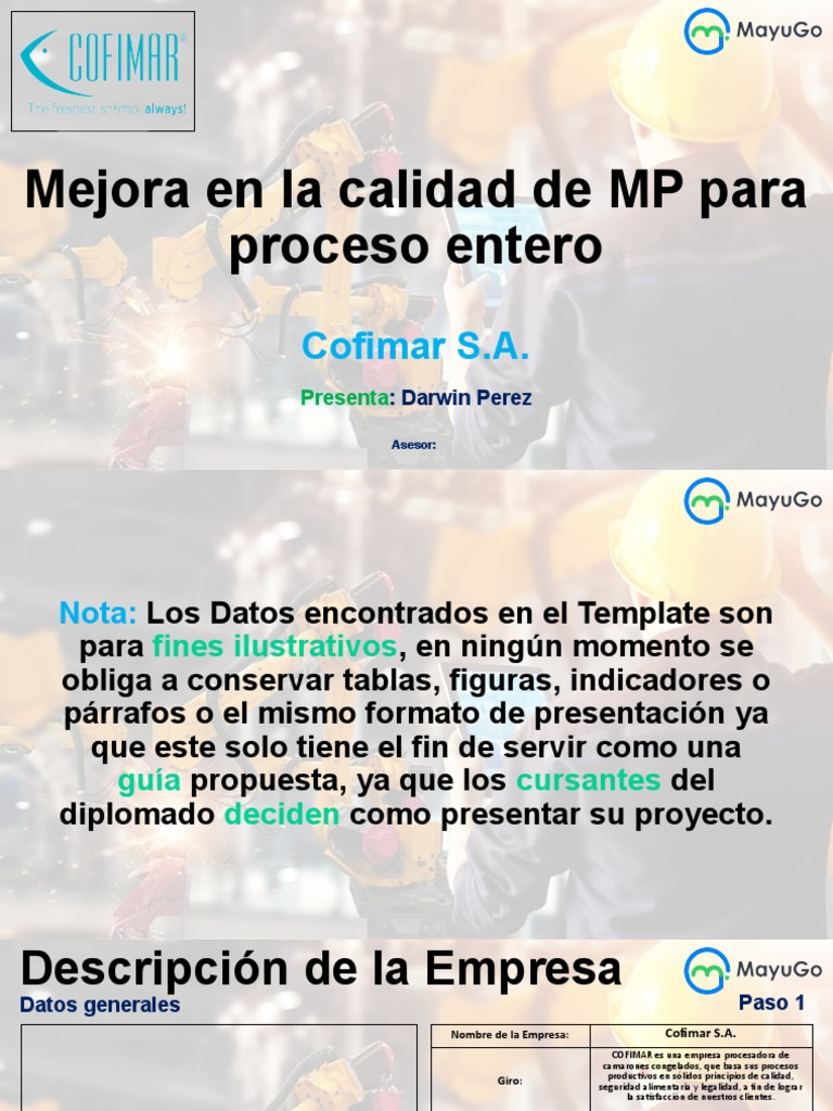 Template Project Kaizen | PDF | Business | Economias