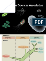 PPV - Bacterias - e - Doencas - Associadas