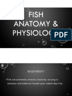 Fish Biology F22
