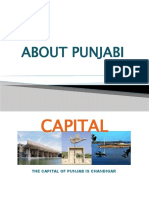 About Punjabi