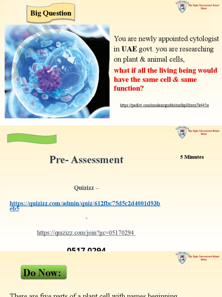 Comparing Plant and Animal Cells | PDF | Endoplasmic Reticulum | Cell ...