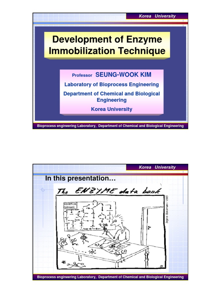 Enzyme Immobilization Techniques Overview | PDF | Chemical Reactor ...