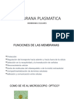 Membrana Plasmatica