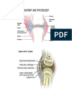 Anatomy and Physiology