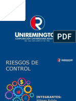 Riesgos y control procesos empresa servicios