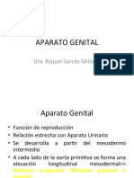 Aparato Genital
