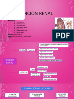 annotated-FUNCION RENAL