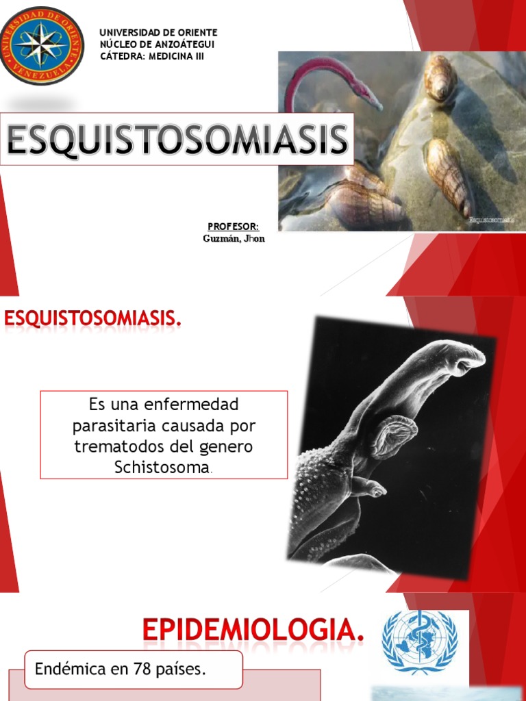 Tratamiento y diagnóstico de esquistosomiasis | PDF | Inmunología ...