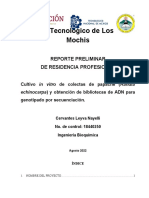 Reporte Preliminar de Residencia Profesional-Cervantes Leyva Nayelli