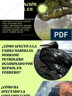 Contaminación Ambiental en Perú