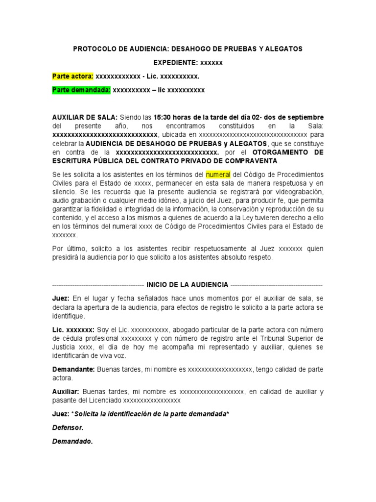 Protocolo de Audiencia | PDF | Justicia | Crimen y violencia