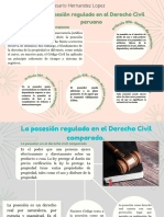 TA1-La Posesión Regulado en El Derecho Civil Peruano y El Derecho Comparado