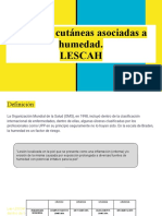 Lesiones Cutáneas Asociadas A Humedad.