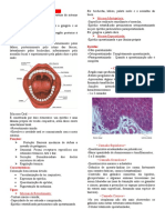 Mucosa Oral