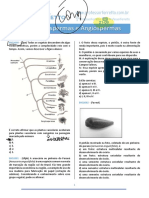 Gimnospermas e Angiospermas