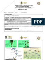 Quinto Plan de Cases Biologia 6°