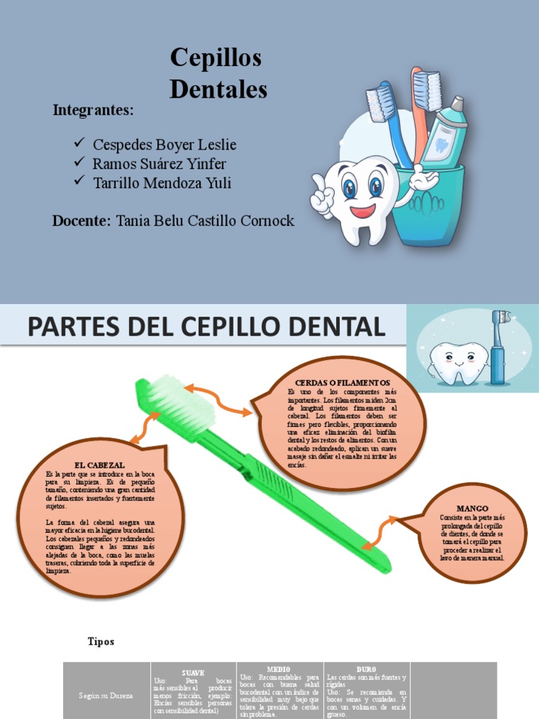 Foto De Stock Gratuita Sobre Anatomía Del Diente, Arte Dental, Atención