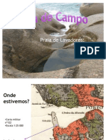 Saida de Campo - Fimal