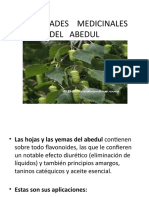 Abedul, Propiedades Medicinales