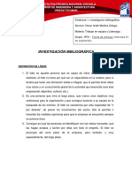 Investigacion Bibliografica