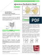 8.3 Divertículo de Meckel