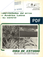 AV SB 608.R5 E5 GUIA C.3 Enfermedades Del Arroz en América Latina y Su Control