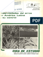 Enfermedades del arroz en América Latina y su control