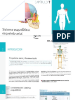 Capitulo 7 Esqueleto Axial