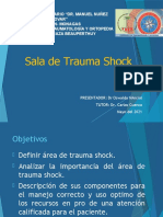 Area de Trauma Shock (1)