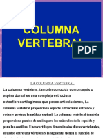 COLUMNA VERTEBRALfhhghgh