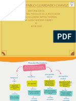 Mapa Conceptual Musculos de La Masticacion