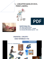 Ergonomia Conceptos Basicos VDTS