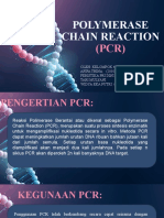 Biotek 6 - PCR