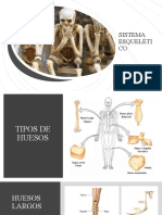 Anatomia I Sistema Oseo Articulaciones2022