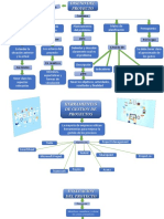 Proceso Proyectos