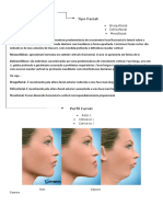 Análise Facial: Tipos, Perfis e Classificação de Angle