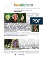 The Genus Amorphophallus